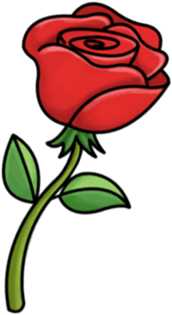 A single red rose